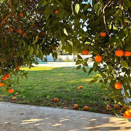 The Orange Garden Apartment Nafplio Luaran gambar